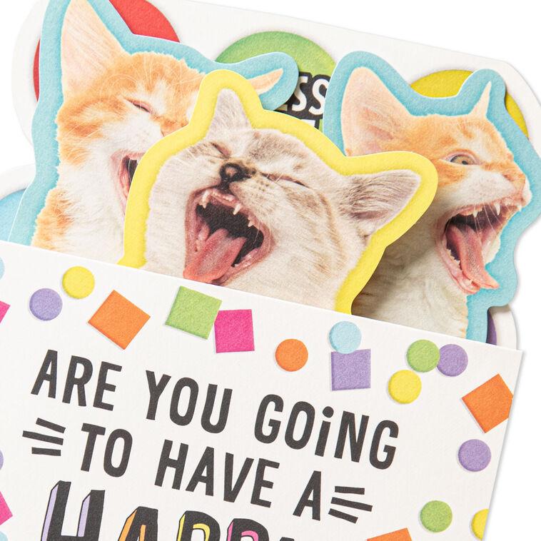 Hallmark Singing Cats Funny Musical Pop-Up Birthday Card