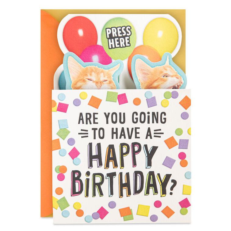 hallmark Singing Cats Funny Musical Pop-Up Birthday Card
