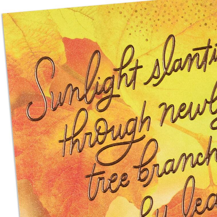 Hallmark Slanting Sunlight And Crunchy Leaves Thanksgiving Card