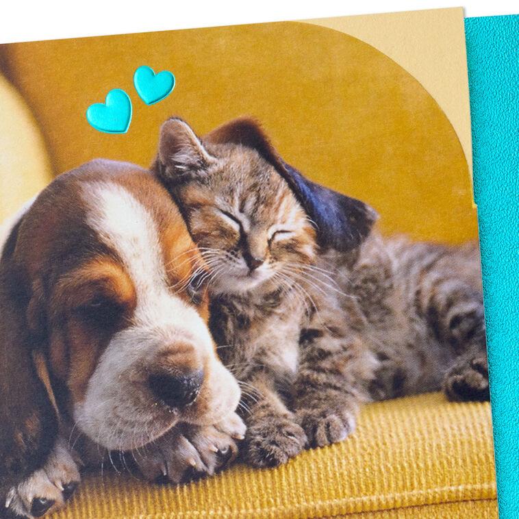 Hallmark Snoozing Puppy And Kitten Anniversary Card
