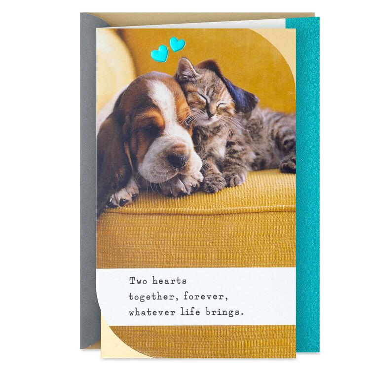 hallmark Snoozing Puppy and Kitten Anniversary Card