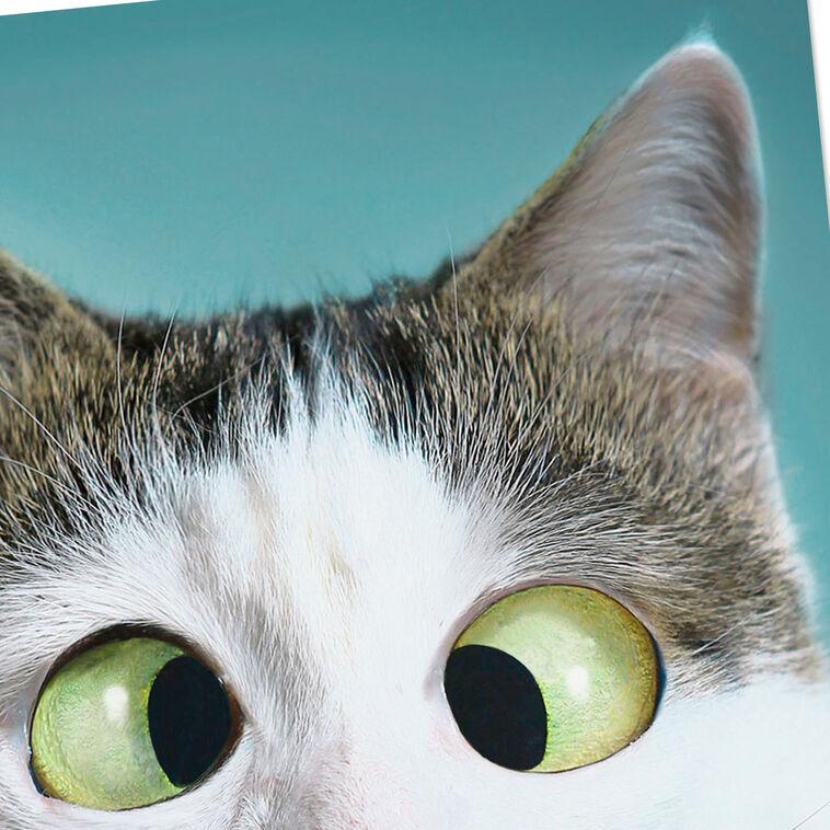 Hallmark So Much Love I Can't See Straight Funny Love Card