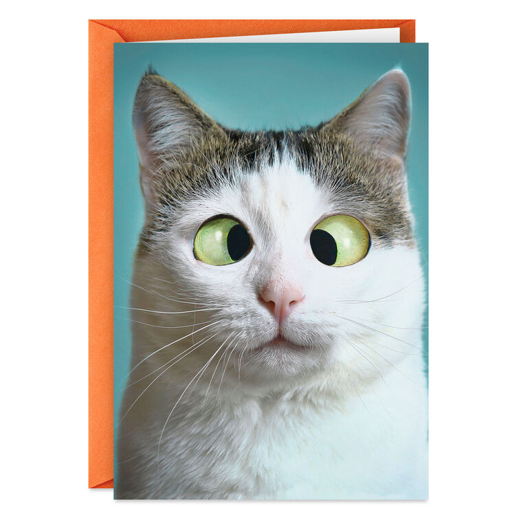 hallmark So Much Love I Can't See Straight Funny Love Card