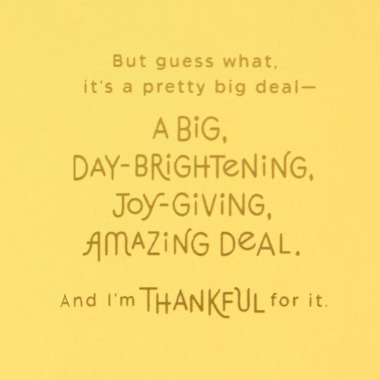 Hallmark So Thankful For Your Amazing Kindness Thank You Card