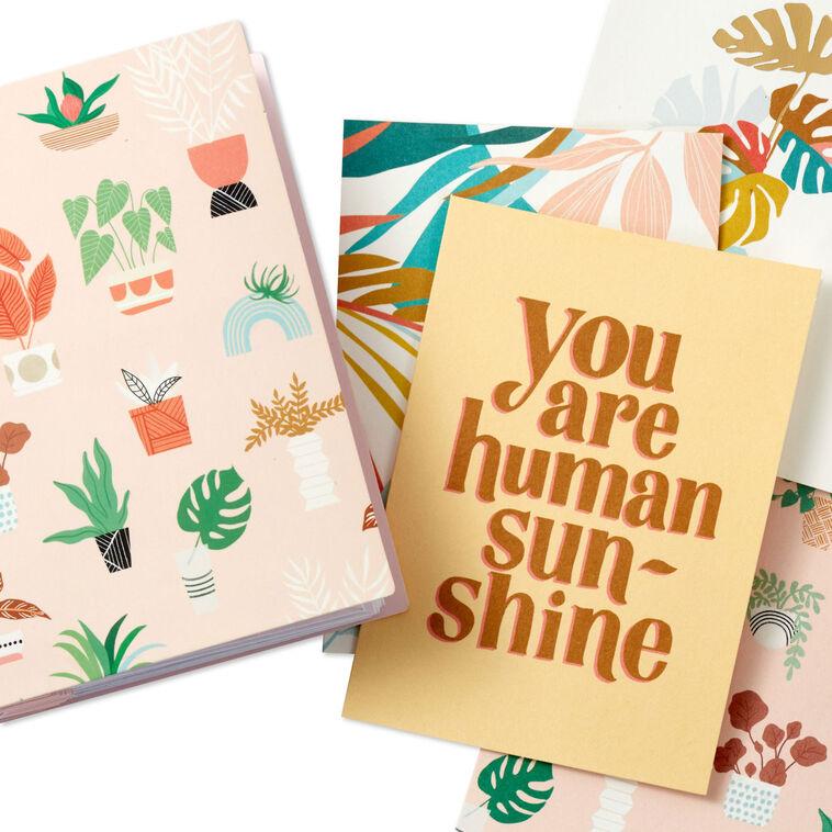 Hallmark Soft Pastel Modern Wishes Booklet Of Cards Pack Of 12