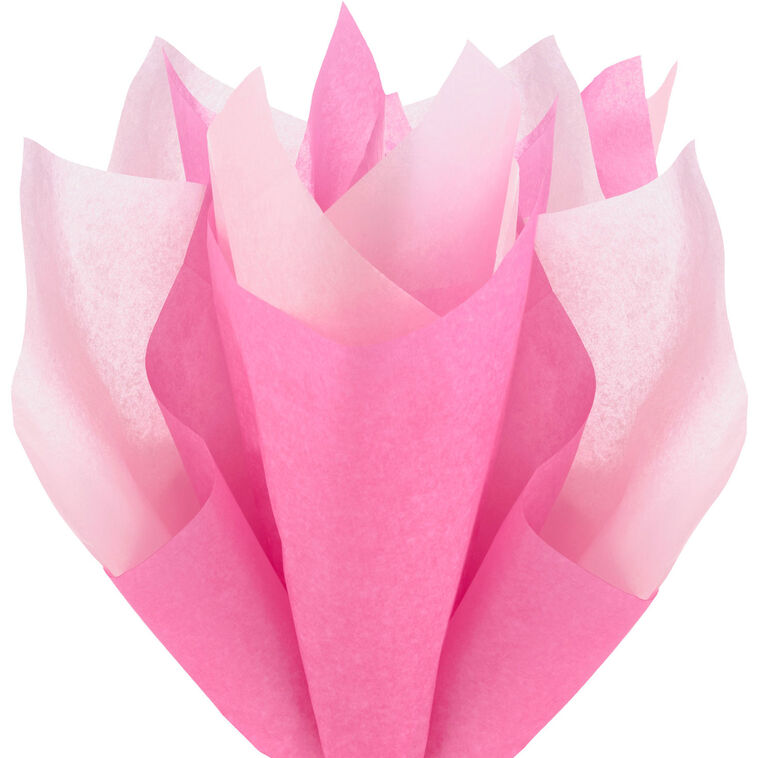 Hallmark Solid Hot Pink/Medium Pink 2-Pack Tissue Paper 6 Sheets