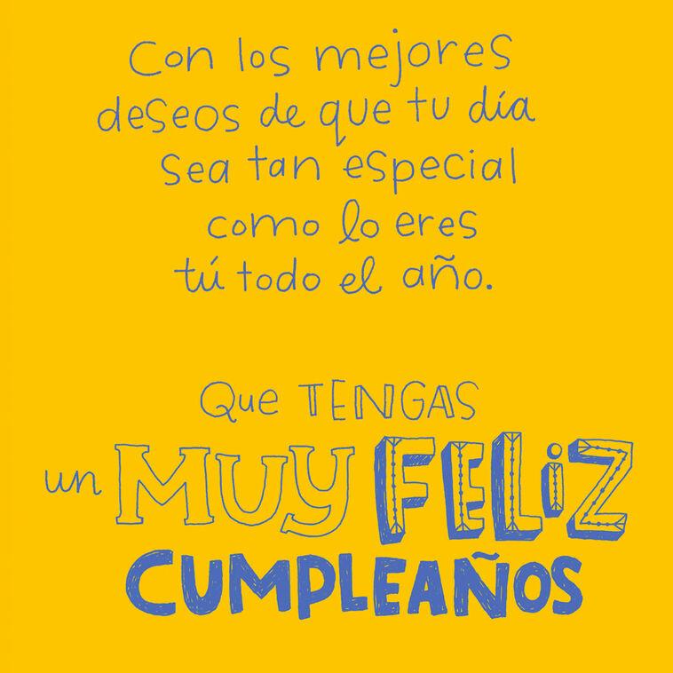 Hallmark Special Person Spanish-Language Birthday Card