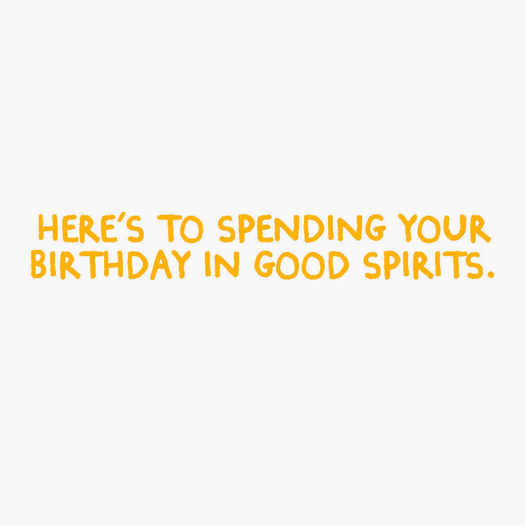Hallmark Spend Your Day In Good Spirits Funny Birthday Card