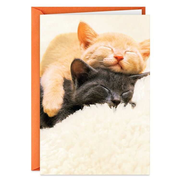 hallmark Spending All Nine Lives With You Love Card