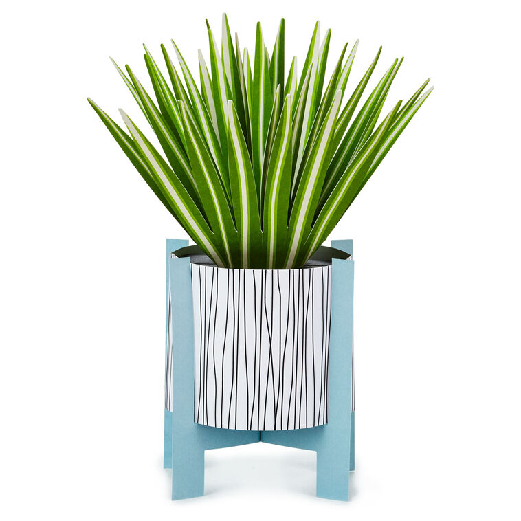 Hallmark Spider Plant Keep Growing 3D Pop-Up Hello Card