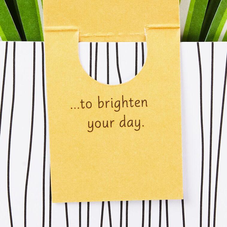 Hallmark Spider Plant Keep Growing 3D Pop-Up Hello Card