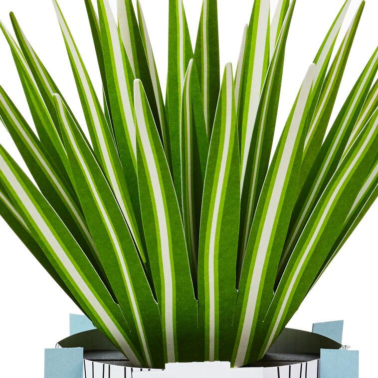 Hallmark Spider Plant Keep Growing 3D Pop-Up Hello Card