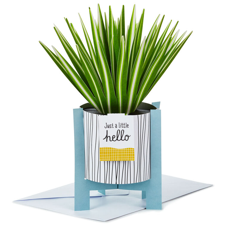 hallmark Spider Plant Keep Growing 3D Pop-Up Hello Card