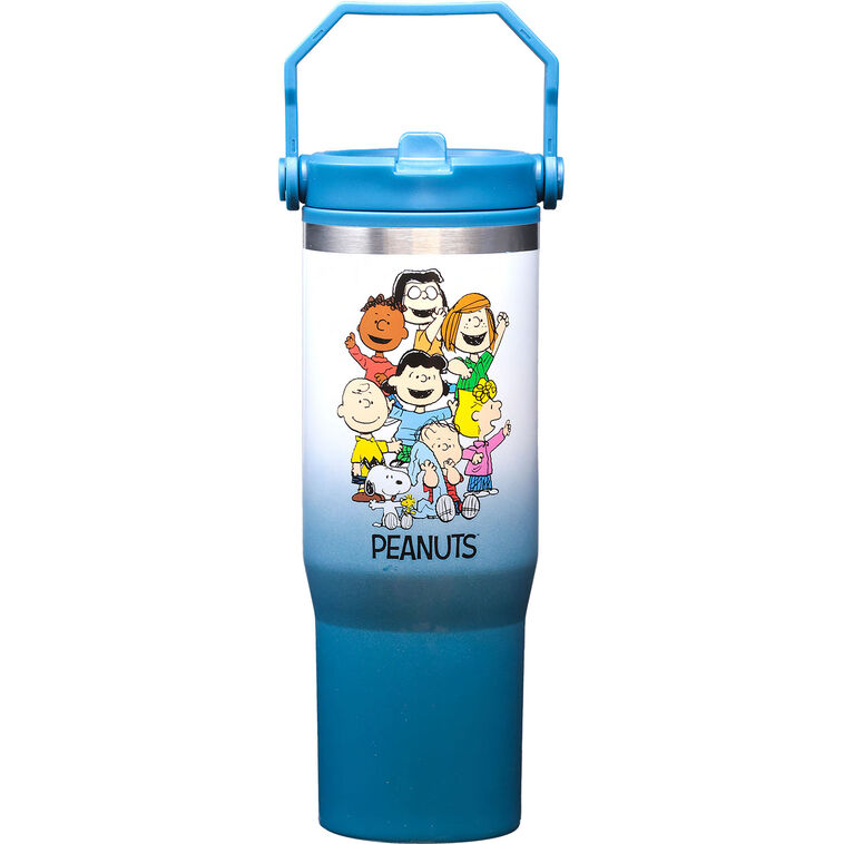hallmark Spoontiques Peanuts Gang Stainless Steel Water Bottle With Handle 30 oz