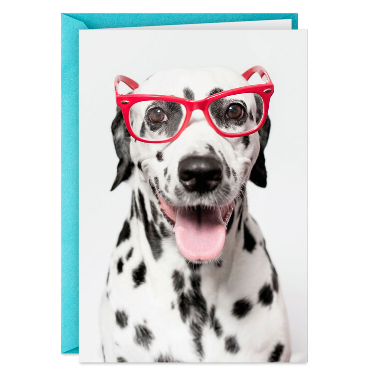 hallmark Spotted This Card Funny Thinking of You Card