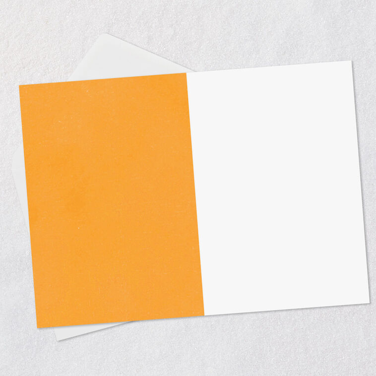 Hallmark Stuff Cats Think About Pie Chart Funny Blank Card