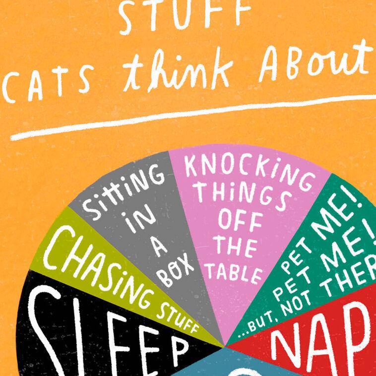 Hallmark Stuff Cats Think About Pie Chart Funny Blank Card