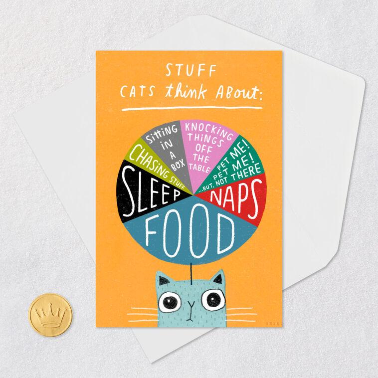 Hallmark Stuff Cats Think About Pie Chart Funny Blank Card