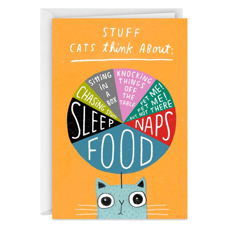 hallmark Stuff Cats Think About Pie Chart Funny Blank Card