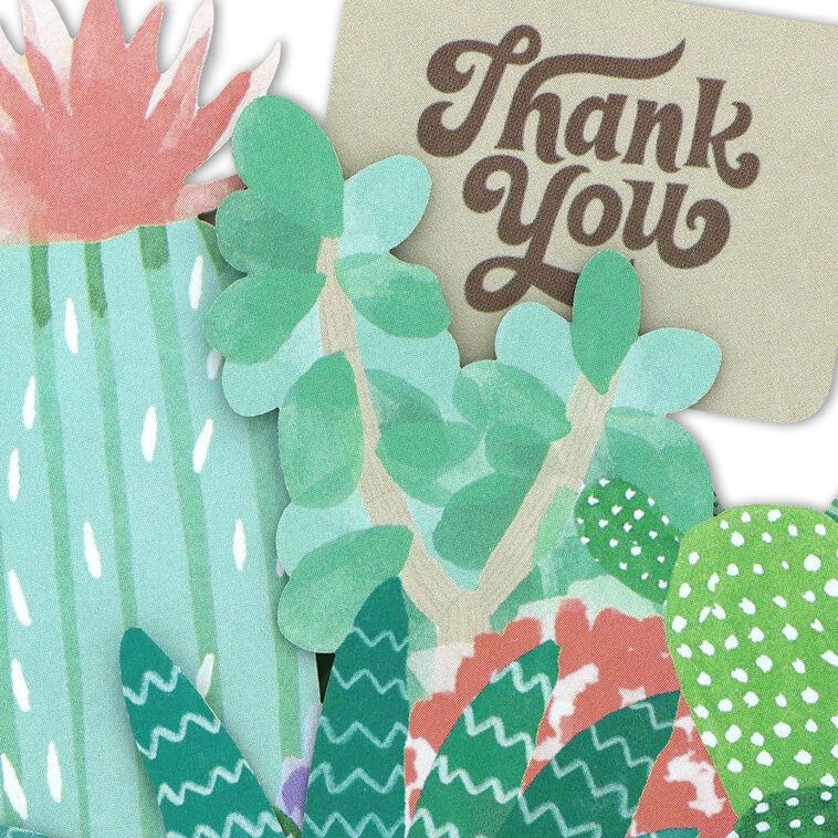 Hallmark Succulents Collection Blank Thank You Notes Pack Of 8