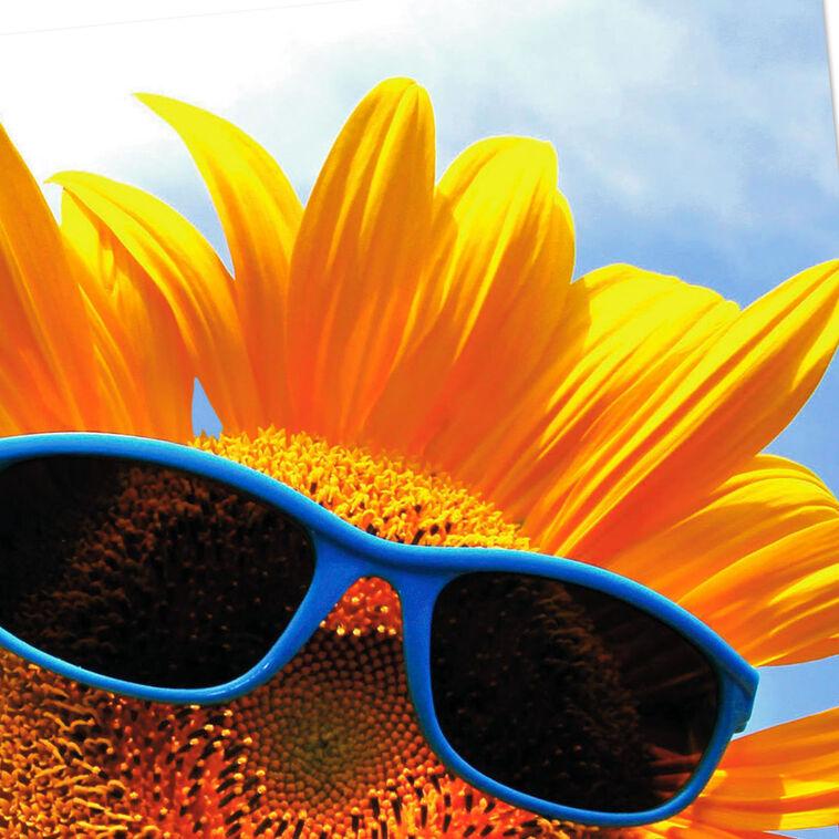 Hallmark Sunflower In Sunglasses Thinking Of You Card