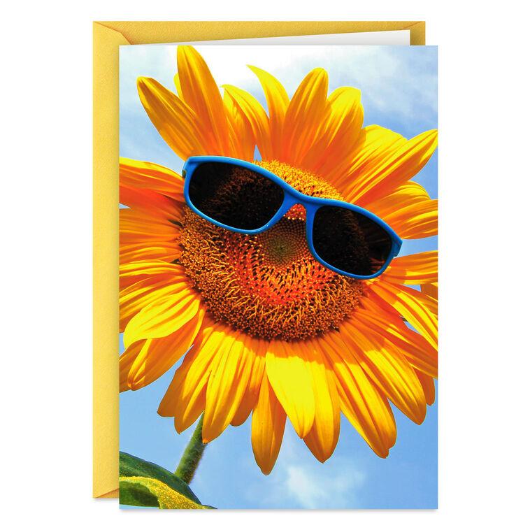 hallmark Sunflower in Sunglasses Thinking of You Card