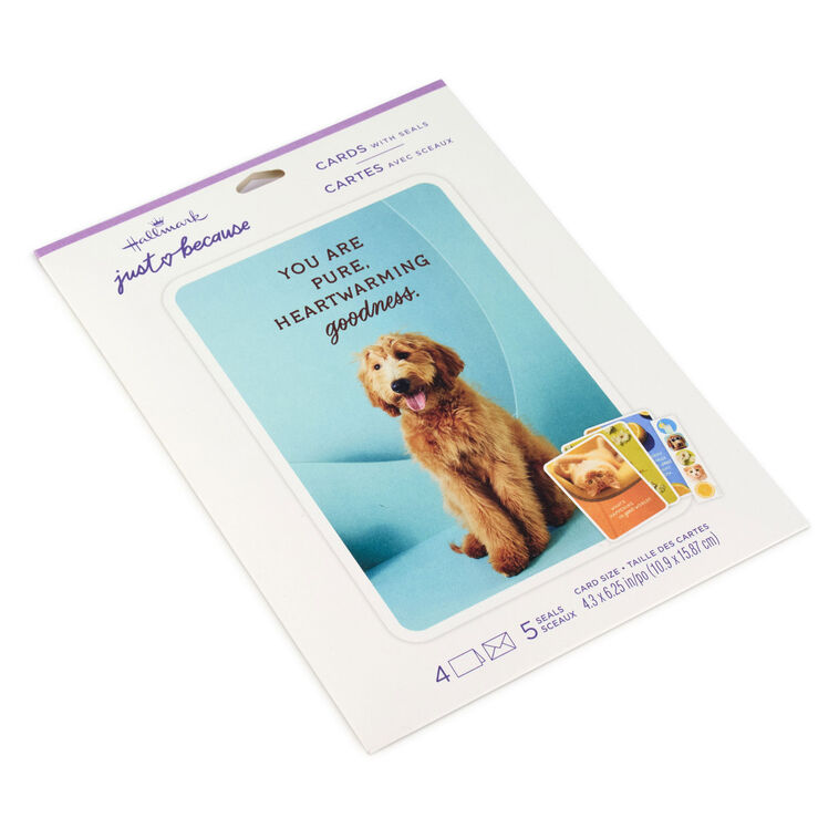 Hallmark Sunny And Sweet Assorted Multi-Occasion Cards Pack Of 4