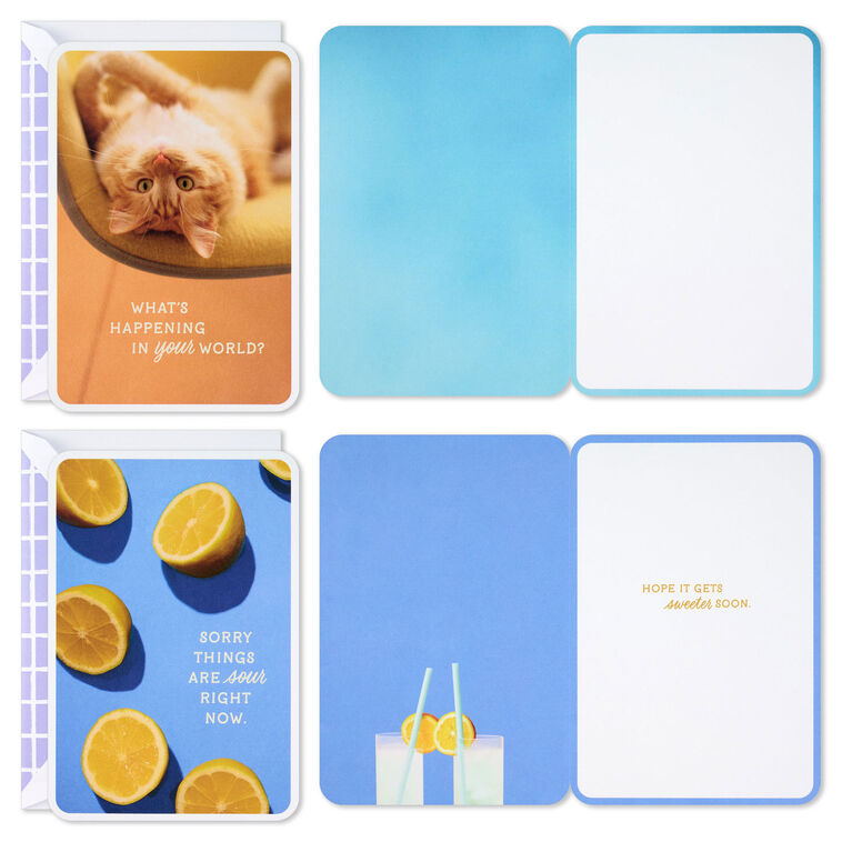 Hallmark Sunny And Sweet Assorted Multi-Occasion Cards Pack Of 4