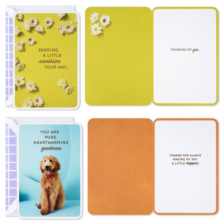 Hallmark Sunny And Sweet Assorted Multi-Occasion Cards Pack Of 4