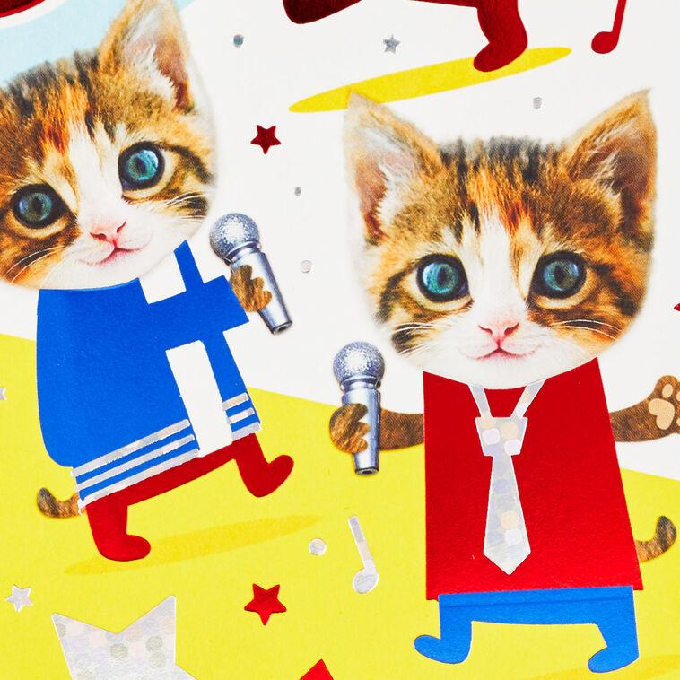 Hallmark Sweet Beats For A Cool Cat 6th Birthday Card