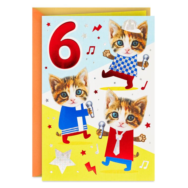 hallmark Sweet Beats for a Cool Cat 6th Birthday Card