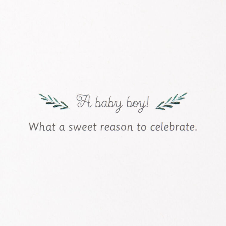 Hallmark Sweet Reason To Celebrate New Baby Boy Card