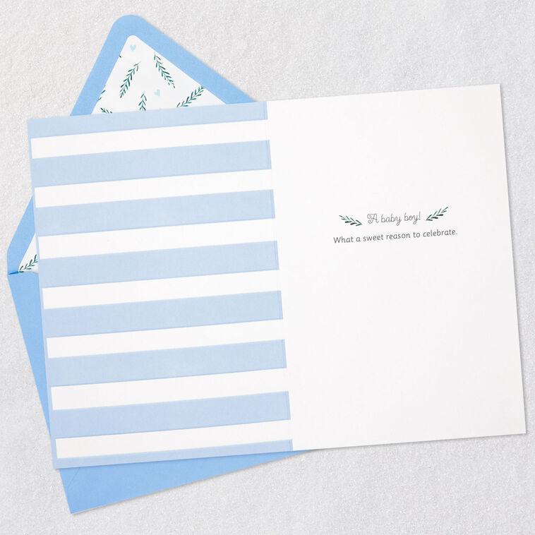 Hallmark Sweet Reason To Celebrate New Baby Boy Card