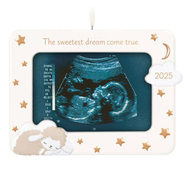 hallmark Sweetest Dream Come True 2025 Photo Frame Porcelain Ornament