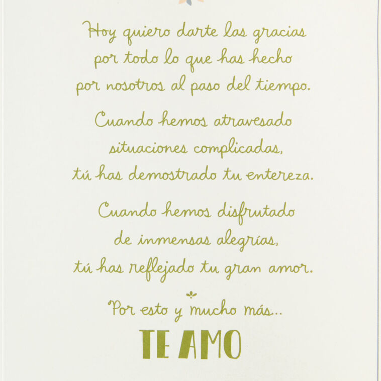 Hallmark Thank You For All You Do Spanish-Language Anniversary Card For Spouse