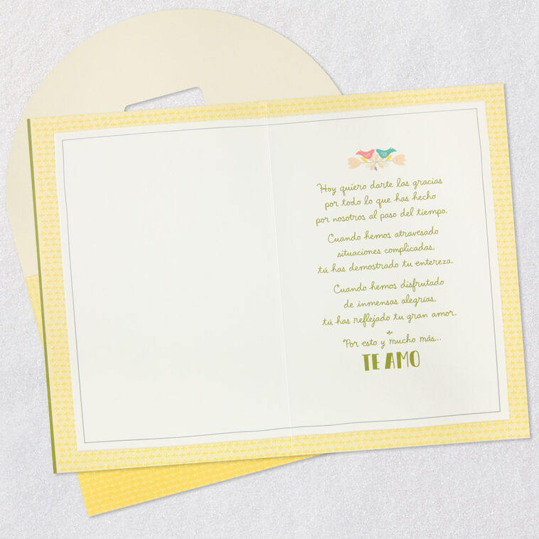 Hallmark Thank You For All You Do Spanish-Language Anniversary Card For Spouse