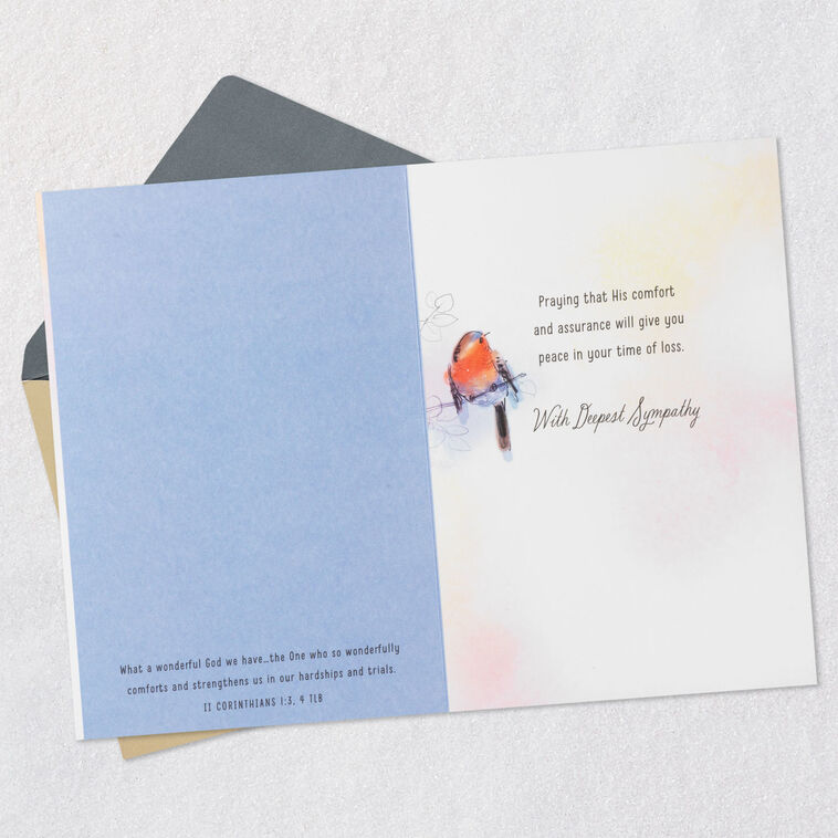 Hallmark The Tender Grace Of Christ Religious Sympathy Card