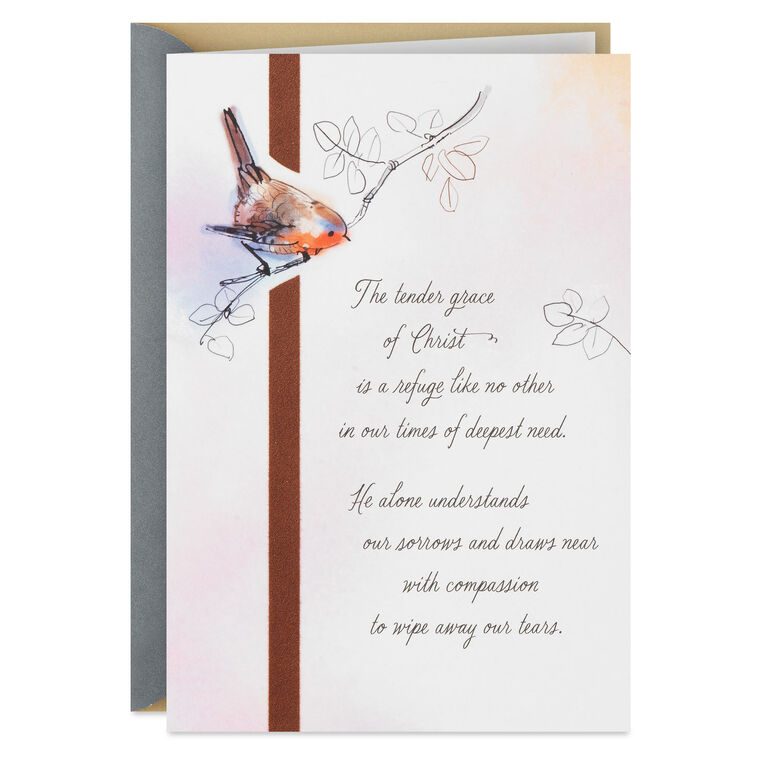 hallmark The Tender Grace of Christ Religious Sympathy Card