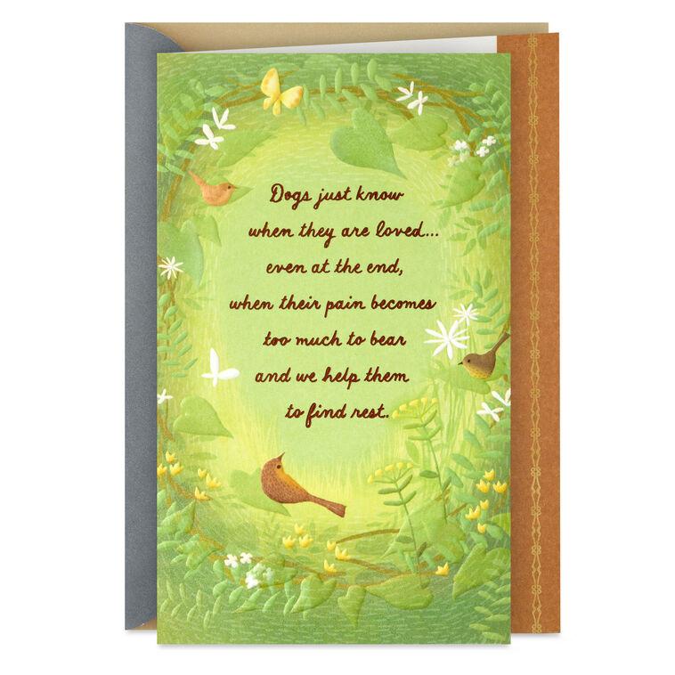 hallmark They Know When They're Loved Sympathy Card for Loss of Dog
