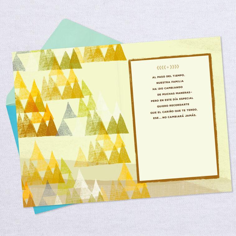 Hallmark Thought Of With Love Spanish-Language Birthday Card For Nephew