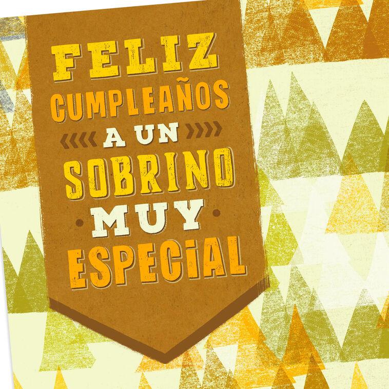 Hallmark Thought Of With Love Spanish-Language Birthday Card For Nephew