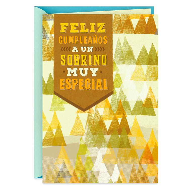 hallmark Thought of With Love Spanish-Language Birthday Card for Nephew