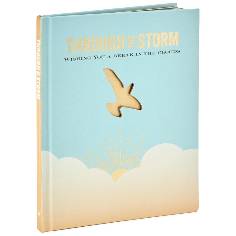 hallmark Through the Storm: Wishing You a Break in the Clouds Book