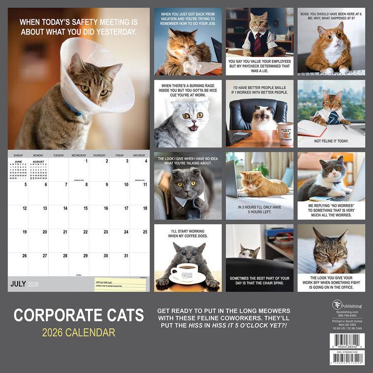 Hallmark Time Factory Corporate Cats Funny 2026 Wall Calendar