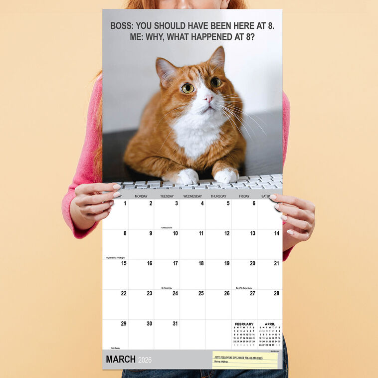 Hallmark Time Factory Corporate Cats Funny 2026 Wall Calendar