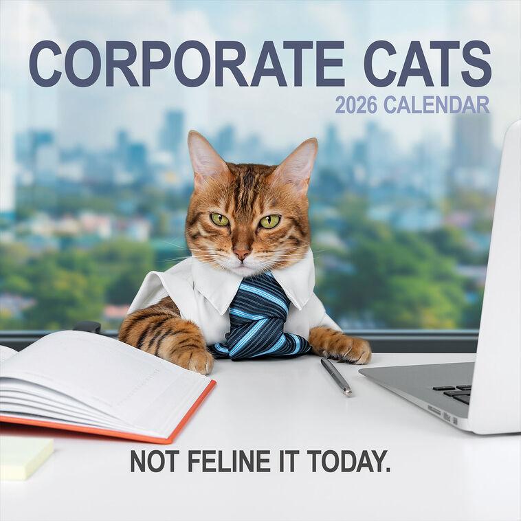 hallmark Time Factory Corporate Cats Funny 2026 Wall Calendar
