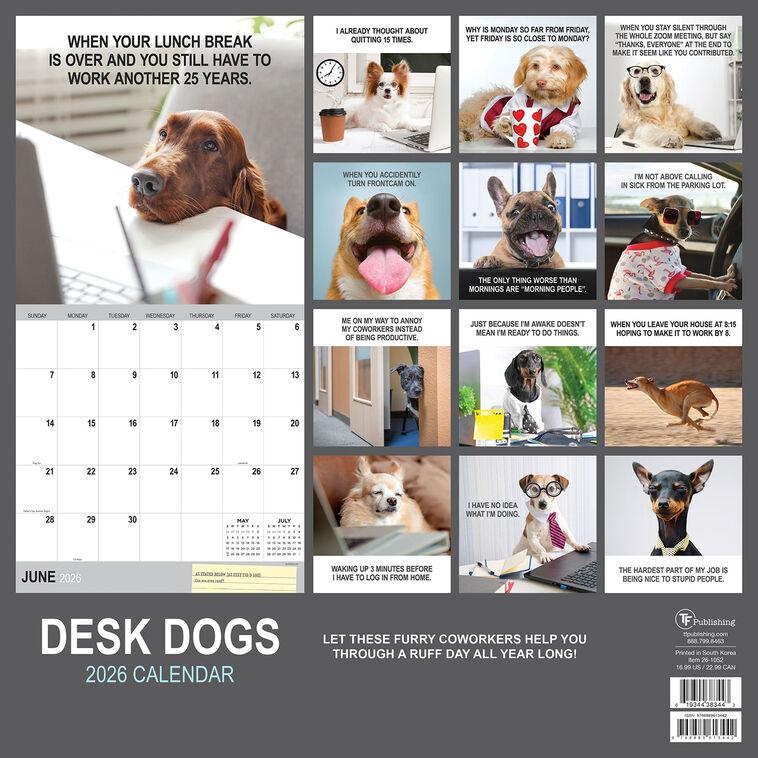 Hallmark Time Factory Desk Dogs Funny 2026 Wall Calendar
