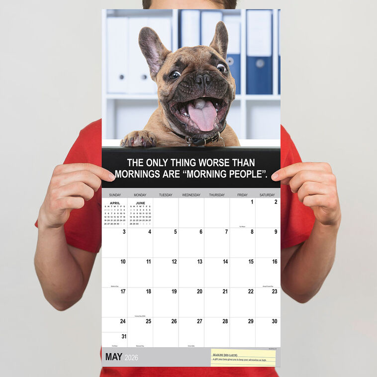 Hallmark Time Factory Desk Dogs Funny 2026 Wall Calendar