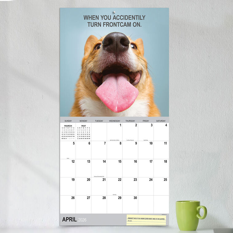 Hallmark Time Factory Desk Dogs Funny 2026 Wall Calendar