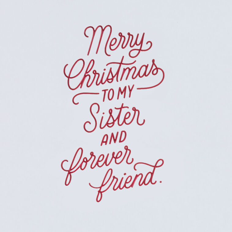 Hallmark Time Flies But Love Stays Christmas Card For Sister